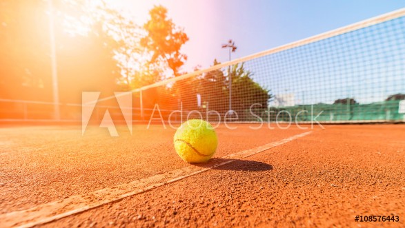 Picture of Close-up tennis ball and net on court